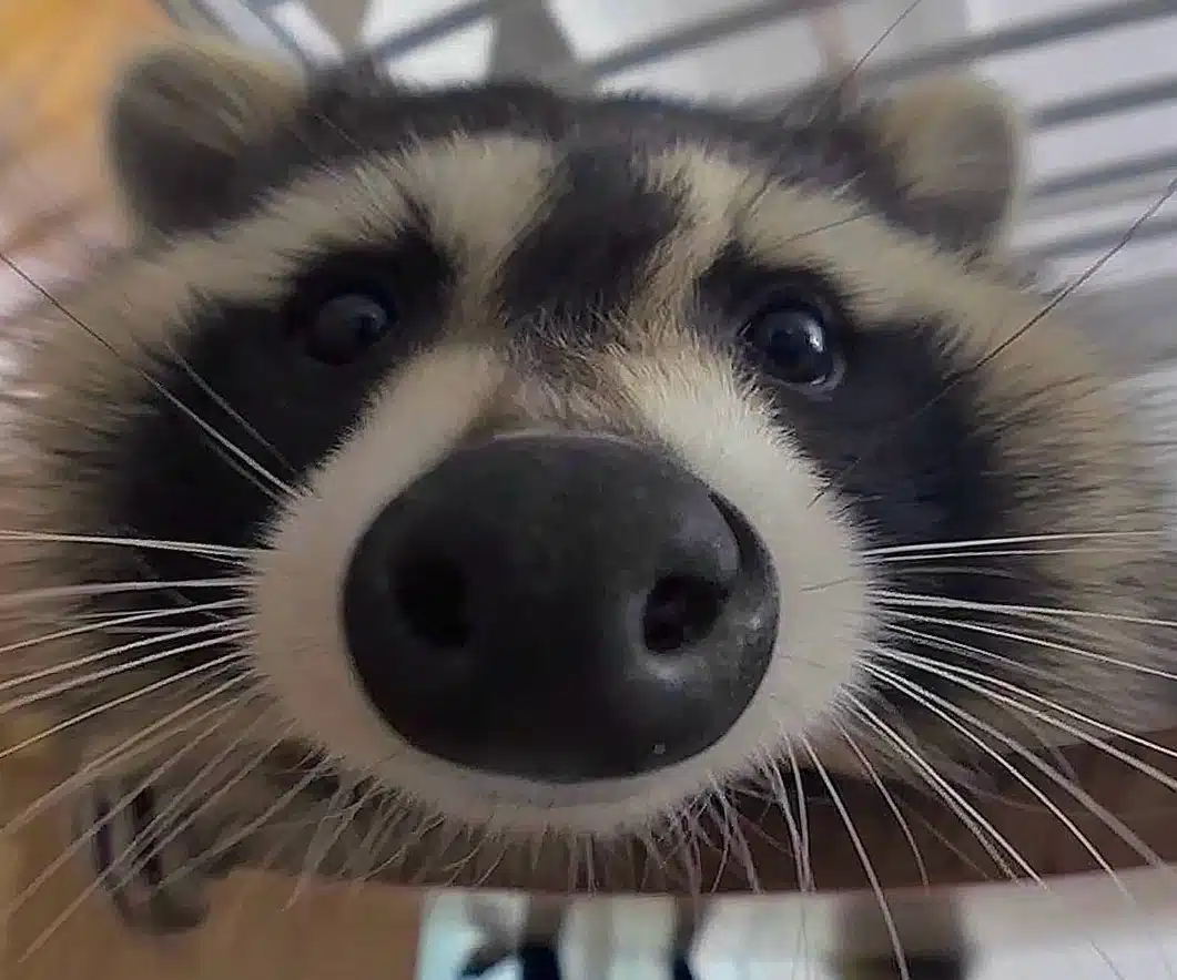 Behavior Services Center