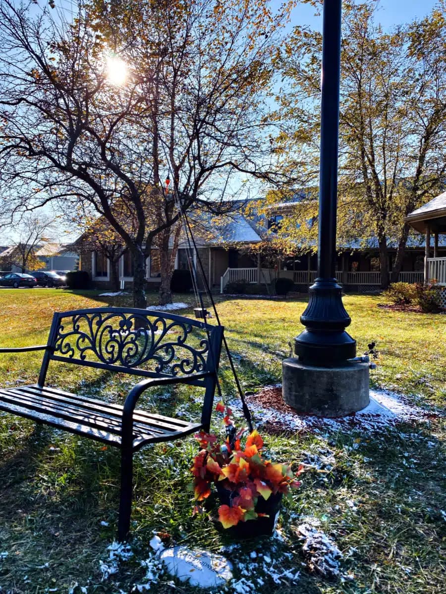 Bridges of Hope - Preview