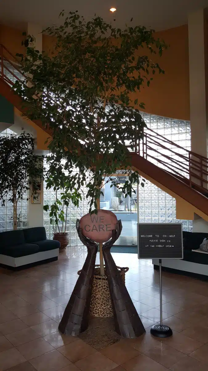 CRI Help Inc - Preview