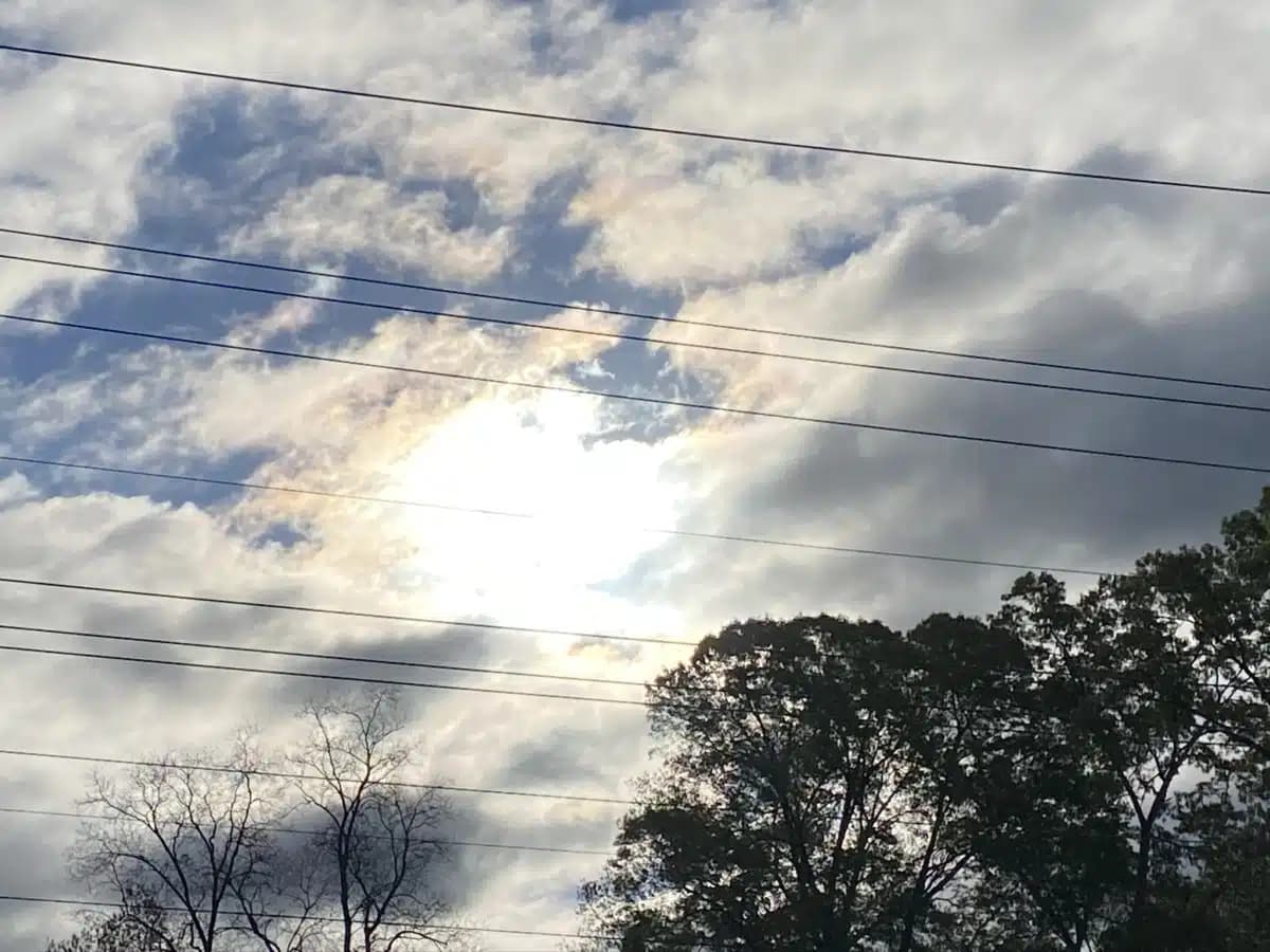 Changing Phases Behavior Support Inc - Hero Image