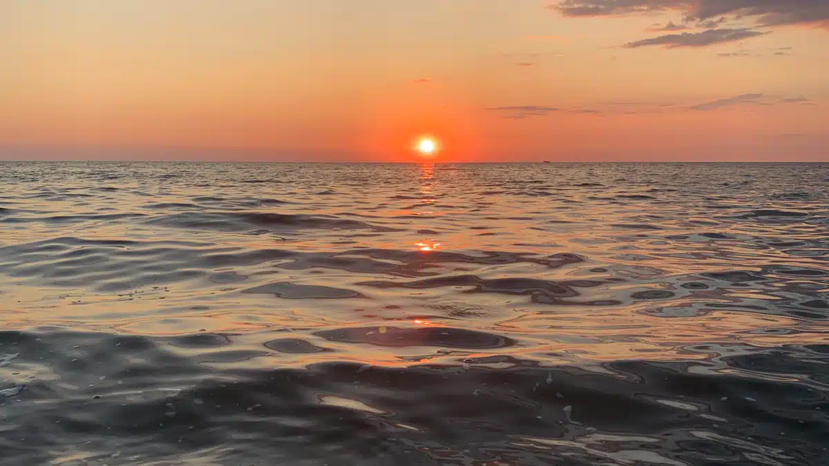 Chautauqua County Dept Mental Hygiene