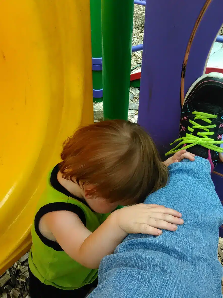 Chrysalis House Inc - Hero Image