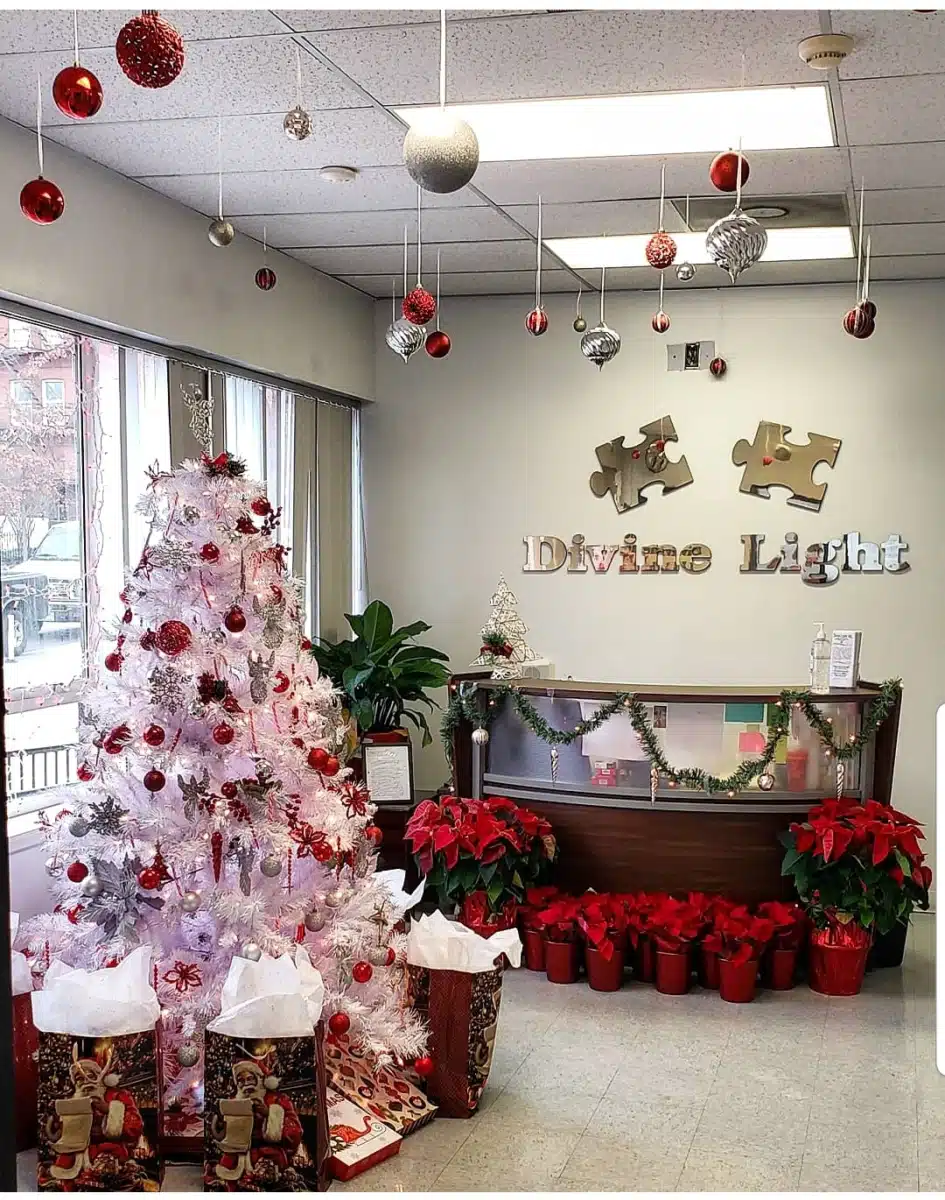 Divine Light Inc - Hero Image