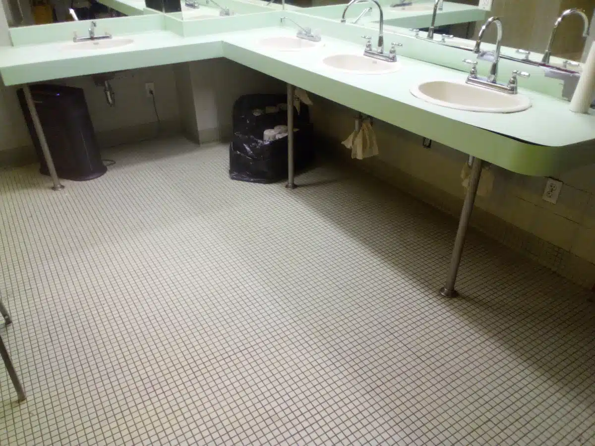 Elmcor Youth and Adult Activities Inc