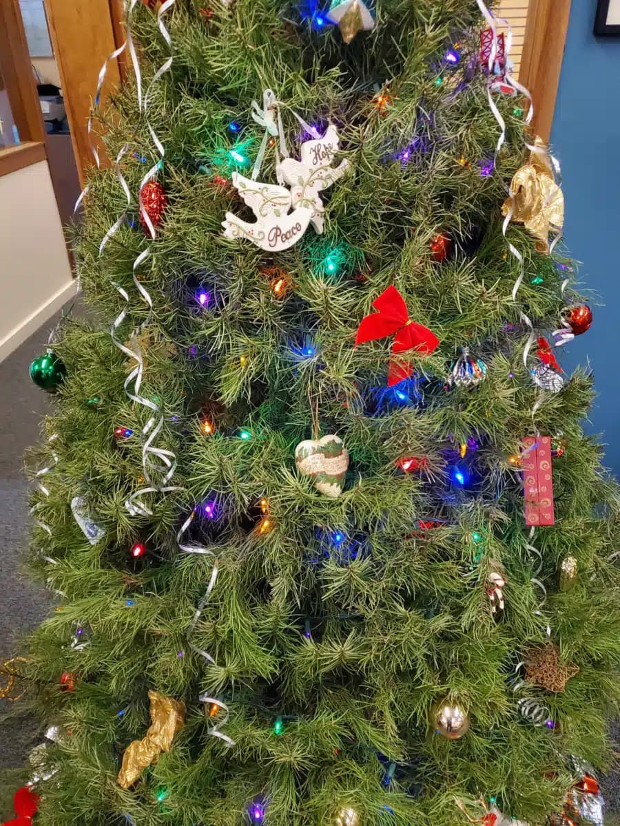 Marin Treatment Center - Preview