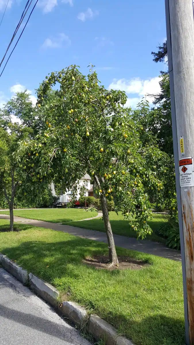 Marinette County Hlth and Human Servs - Preview