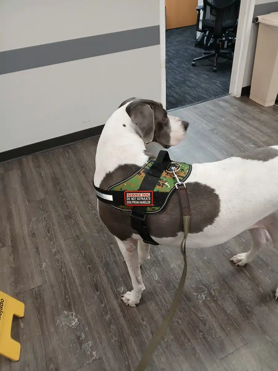 Maryhaven Inc - Hero Image