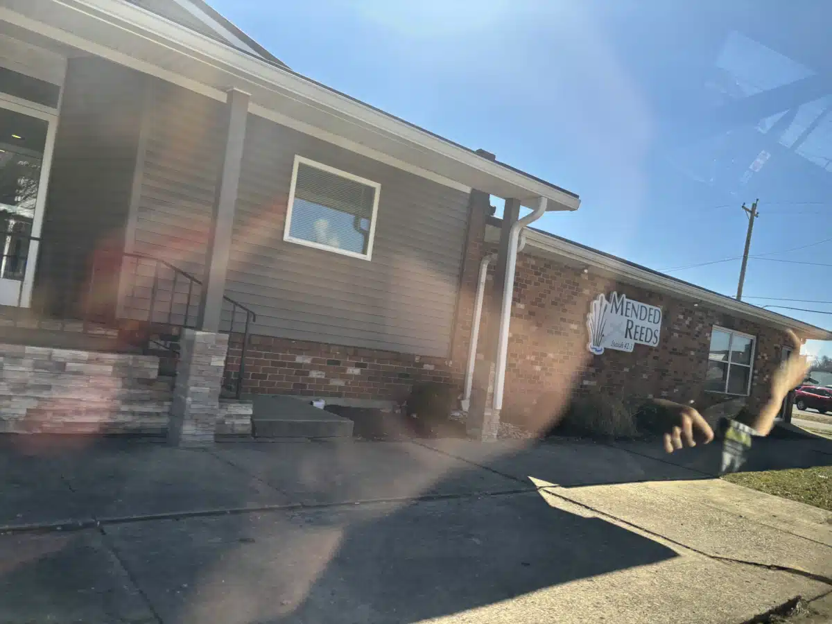 Mended Reeds Mental Health - Hero Image