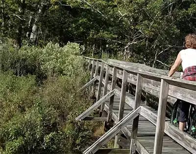 Recovery Services of Connecticut - Hero Image