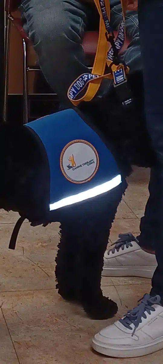 Rincon Family Services - Hero Image