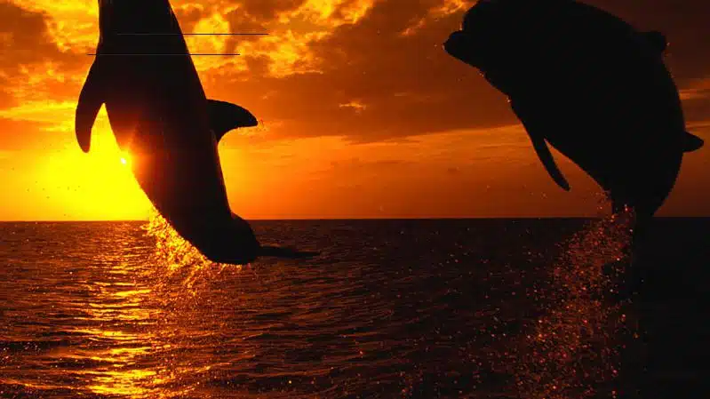 Searsport Counseling Associates - Hero Image