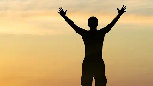 Tadiso Inc - Preview