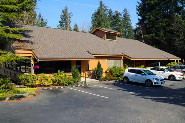 Therapeutic Health Services - Preview