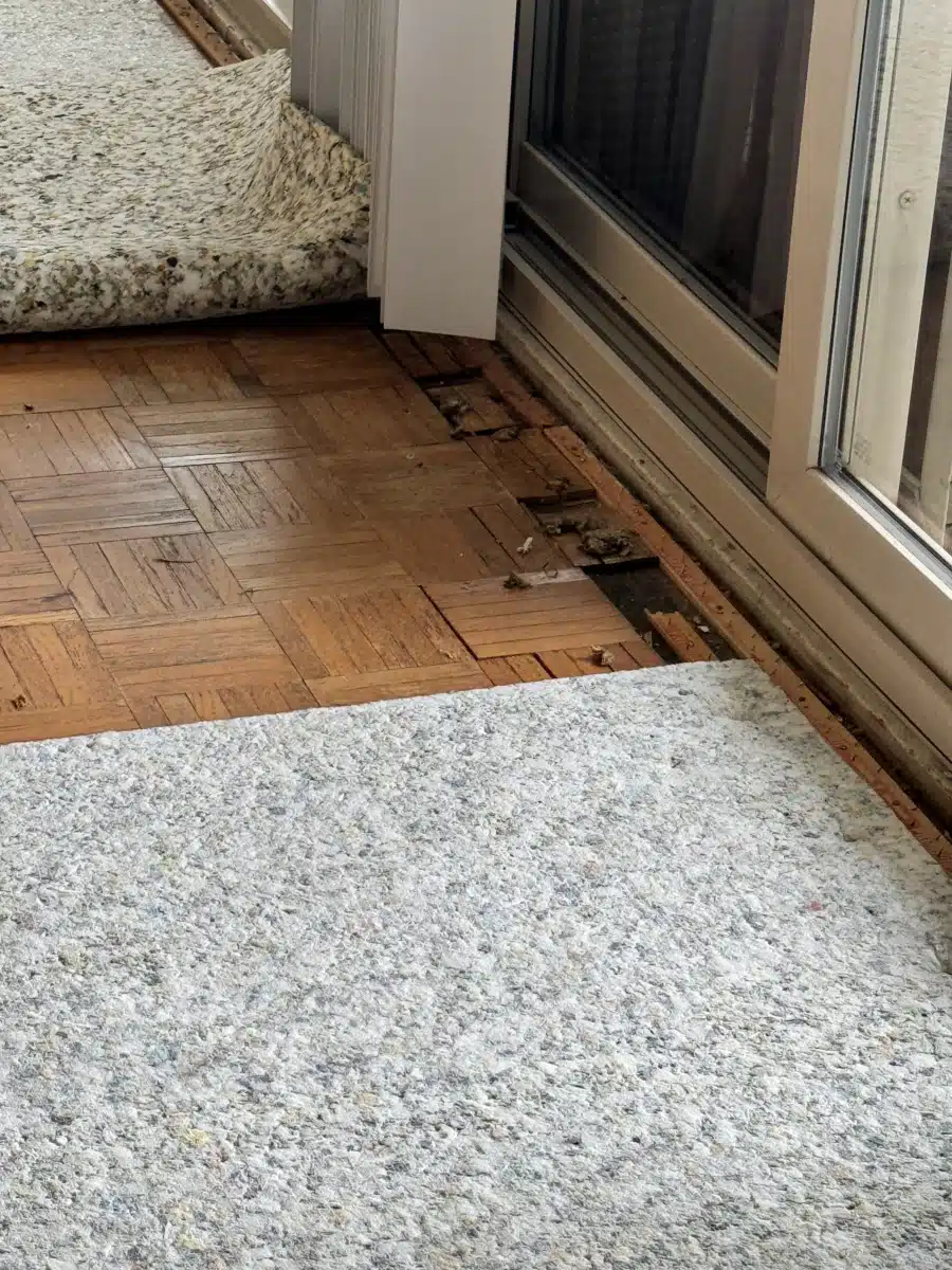 Tru Luv Management - Hero Image