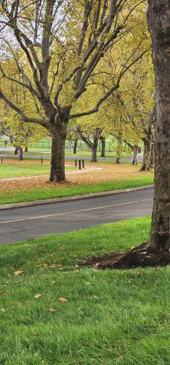 VA Roseburg Healthcare System - Hero Image