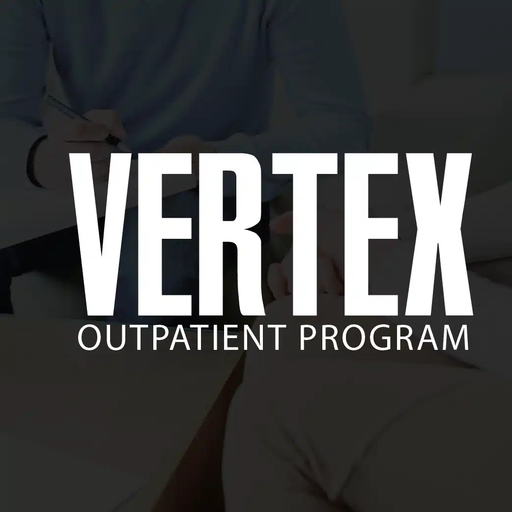 VERTEX LLC - Hero Image