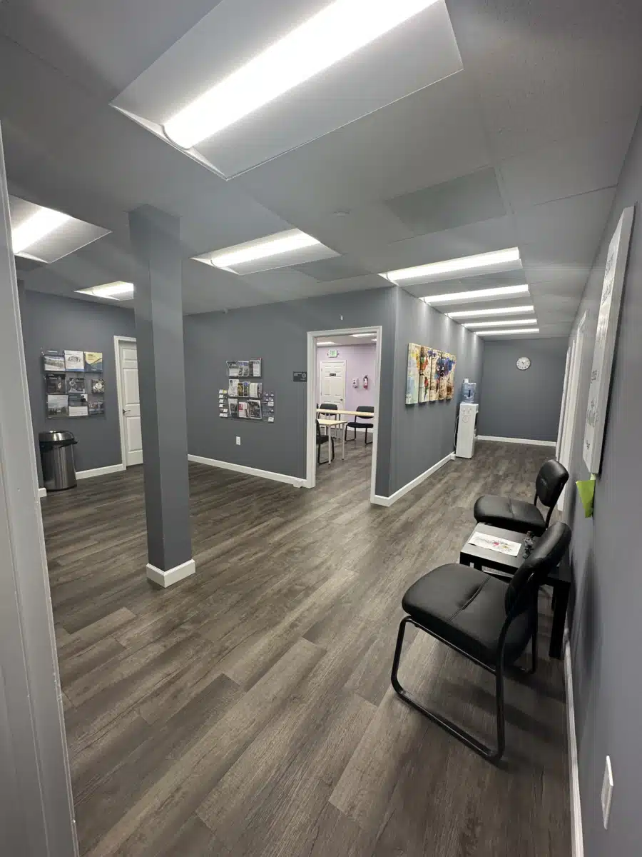 Veni Vidi Vici Treatment Services - Preview